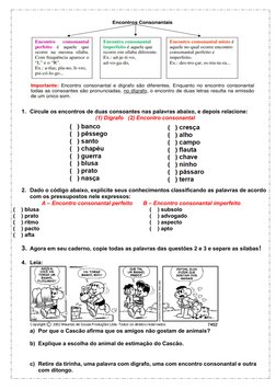 Atividades sobre Dígrafos e Encontros Consonantais | PDF