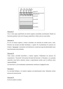 Horizonte 0
Una o varias capas superficiales de materia orgánica acumuladas recientemente. Pueden ser
horizontes potentes com