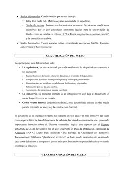 
Suelos hidromorfos
. Condicionados por su mal drenaje.
Gley
. Con perfil AR. Materia orgánica acumulada en superfic