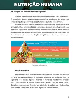 6 
 
 
2.1 Função dos alimentos no nosso organismo 
Alimento é aquilo que os seres vivos comem e bebem para a sua sub