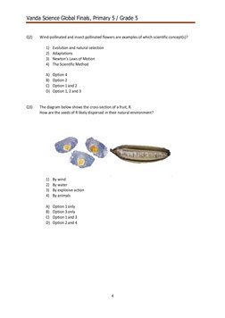 Vanda Science Competition Grade 5 Paper | PDF | Flowers | Enzyme