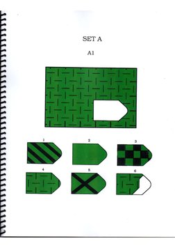 Standard Progressive Matrices Set RAVEN - Coloured Progressive Matrices Sets A, Ab Y B | PDF