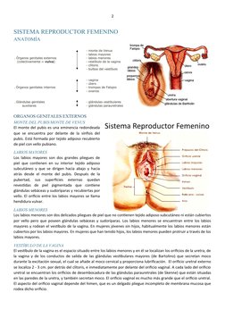 2
SISTEMA REPRODUCTOR FEMENINO
ANATOMÍA
 
ORGANOS GENITALES EXTERNOS
MONTE DEL PUBIS/MONTE DE VENUS
El monte del pubis es una