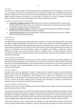 4
OVARIOS
Los ovarios son 2 cuerpos ovalados en forma de almendra, de aproximadamente 3 cm. De longitud, 1 cm. de ancho y
1 c