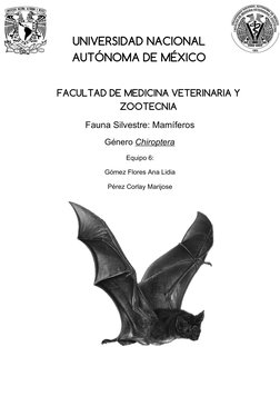 UNIVERSIDAD NACIONAL
AUTÓNOMA DE MÉXICO 
FACULTAD DE MEDICINA VETERINARIA Y
ZOOTECNIA 
Fauna Silvestre: Mamíferos
Género Chir