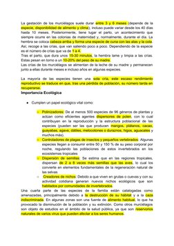 La gestación de los murciélagos suele durar  entre 3 y 6 meses  (depende de la
especie, disponibilidad de alimento y clima),