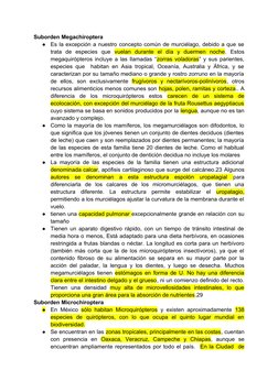 Suborden Megachiroptera
●
Es la excepción a nuestro concepto común de murciélago, debido a que se
trata  de  especies  que  v