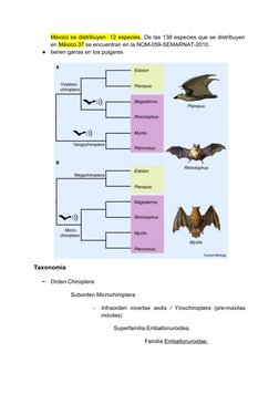México se distribuyen  12 especies. De las 138 especies que se distribuyen
en México 37 se encuentran en la NOM-059-SEMARNAT-