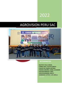 Agrovision Perú SAC: Análisis y Estrategias | PDF | Agricultura ...