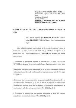 Expediente Nº 11177-2021-0-1801-JR-FC-14
Especialista  Legal:  CURI  PARIONA,  Hugo
Raúl 
Cuaderno: Principal
Escrito N° 04
S