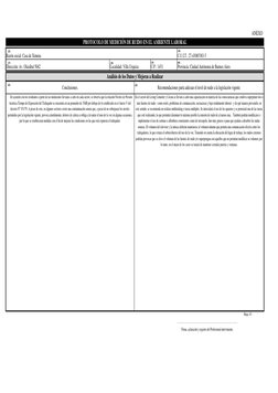 C.P.: 1431
Hoja 3/3 
Análisis de los Datos y Mejoras a Realizar
ANEXO 
PROTOCOLO DE MEDICIÓN DE RUIDO EN EL AMBIENTE LABORAL