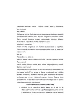 cavidades dilatadas, vacías. Válvulas: sanas. Aorta y coronarias: 
ateromatosas. 
ABDÓMEN 
Diafragma: normal. Estómago: conti
