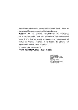 Histopatología del Instituto de Ciencias Forenses de la Fiscalía de 
Cámaras del Departamento Judicial Lomas de Zamora. 
MUES