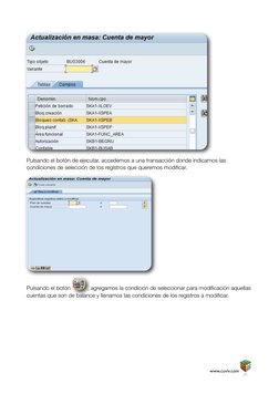 Pulsando el botón de ejecutar, accedemos a una transacción donde indicamos las 
condiciones de selección de los registros que