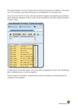 En la parte superior vemos los valores de los campos que queremos modificar y marcamos 
con “X” el checkbox que indica el blo