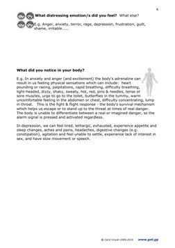 © Carol Vivyan 2009-2010      www.get.gg 
6 
 What distressing emotion/s did you feel?  What else? 
E.g. Anger, an