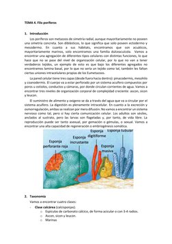 TEMA 4. Filo poríferos 
 
1. Introducción  
Los poríferos son metazoos de simetría radial, aunque mayoritariamente no poseen