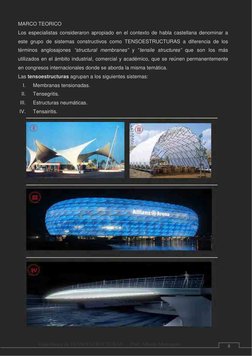 MARCO TEORICO 
Los especialistas consideraron apropiado en el contexto de habla castellana denominar a 
este grupo de sistema