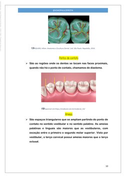 10 
 
@JOAOPAULOFROTA 
 
18RIQUIERI, Hilton. Anatomia e Escultura Dental. 1ed. São Paulo: Napoleão, 2016. 
 
Pontos de cont