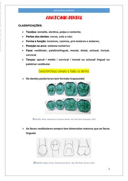 2 
 
@JOAOPAULOFROTA ANATOMIA DENTAL
CLASSIFICAÇÕES:  
 Tecidos: esmalte, dentina, polpa e cemento; 
 Partes dos dentes:
