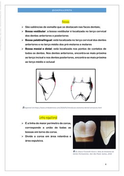 4 
 
@JOAOPAULOFROTA 
 
Bossas 
 São saliências de esmalte que se destacam nas faces dentais; 
 Bossa vestibular: a bossa