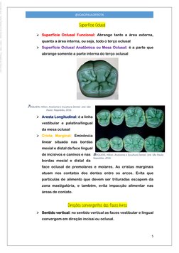5 
 
@JOAOPAULOFROTA 
Superfície Oclusal 
 Superfície Oclusal Funcional: Abrange tanto a área externa, 
quanto a área inte