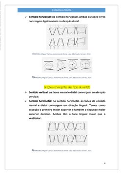 6 
 
@JOAOPAULOFROTA 
 Sentido horizontal: no sentido horizontal, ambas as faces livres 
convergem ligeiramente na direção