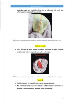 8 
 
@JOAOPAULOFROTA 
quando separam vertentes internas e externas entre si, são 
chamdas de arestas transversais. 
 
14COL