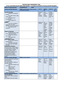 Suicide Risk Assessment Template | PDF | Suicide | Mental Health