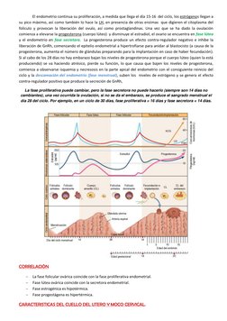 El endometrio continua su proliferación, a medida que llega el día 15-16  del ciclo, los estrógenos llegan a 
su pico máximo,