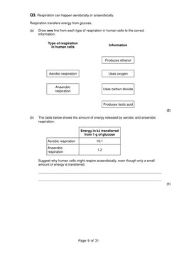 Year 9 Science Practice Test Guide | PDF | Cellular Respiration | Wind ...