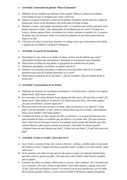 8.
Actividad: Conociendo las plantas “Plaza Centenario”
A. Hablamos de los cuidados que debemos tener cuando vallamos a obser