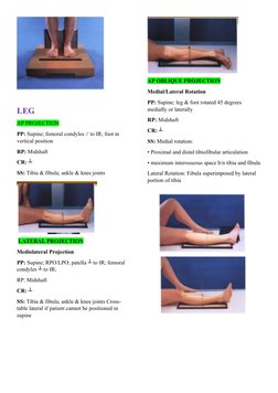 Calcaneus X-Ray Positioning Techniques | PDF | Ankle | Foot
