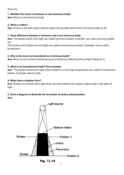 Light, Shadows, and Reflection Concepts | PDF | Shadow | Mirror