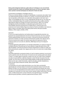 Esta puede alargarse hasta los cuatro años sin embargo no es conveniente 
hacerlo porque los índices de fertilidad disminuyen