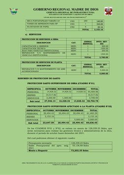 GOBIERNO REGIONAL MADRE DE DIOS
                     GERENCIA REGIONAL DE INFRAESTRUCTURA
                               SUB