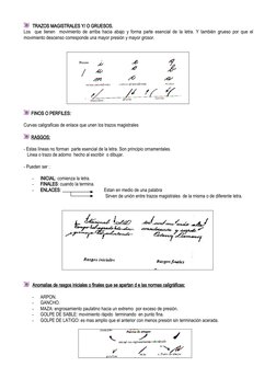 TRAZOS MAGISTRALES Y/ O GRUESOS.
Los  que tienen  movimiento de arriba hacia abajo y forma parte esencial de la letra. Y t