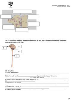 Actividades Repaso Septiembre 18-19.  
Biología y Geología 3º ESO 
 
10 
 
COLEGIO 
 
 
    
 
 
 
 
 
 
 
 
 
 
 
 
 
 
 
30
