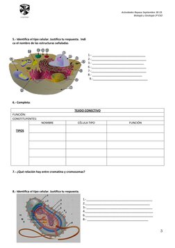 Actividades Repaso Septiembre 18-19.  
Biología y Geología 3º ESO 
 
3 
 
COLEGIO 
 
 
 
 
5.- Identifica el tipo celular. Ju