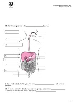 Actividades Repaso Septiembre 18-19.  
Biología y Geología 3º ESO 
 
6 
 
COLEGIO 
 
 
 
 
 
 
 
 
 
19.- Identifica el sigui