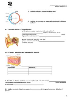 Actividades Repaso Septiembre 18-19.  
Biología y Geología 3º ESO 
 
9 
 
COLEGIO 
  
a) ¿Cómo se produce la visión de cerca