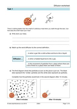 Diffusion Worksheet | PDF | Diffusion | Gases