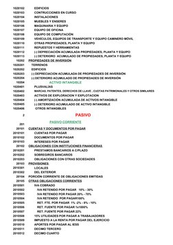 Plan de Cuentas NIIF 2024 en Venezuela | PDF | Compartir (Finanzas ...