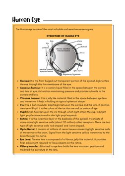 Shobhit Nirwan's Human Eye Notes | PDF | Eye | Rainbow