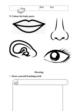 Belt           bed
9. Colour the body parts.
Drawing
1. Draw yourself brushing teeth.
