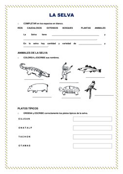 LA SELVA 
  
  
□        COMPLETAR en los espacios en blanco. 
  
RÍOS         CAUDALOSOS          EXTENSOS         BOSQUES
