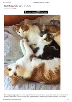 10/21/22, 3:43 PM
Homemade Cat Food - Four to Cook For
www.fourtocookfor.com/homemade-cat-food/
1/17
HOMEMADE CAT FOOD
Februa