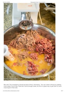 10/21/22, 3:43 PM
Homemade Cat Food - Four to Cook For
www.fourtocookfor.com/homemade-cat-food/
10/17
Mix well. The consisten