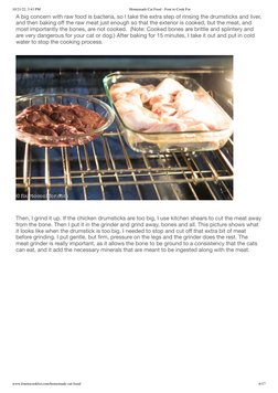 10/21/22, 3:43 PM
Homemade Cat Food - Four to Cook For
www.fourtocookfor.com/homemade-cat-food/
6/17
A big concern with raw f