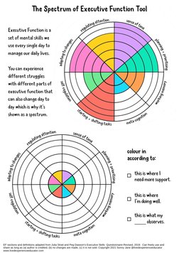 Executive Function Handout.pdf Executive Function Worksheets | PDF